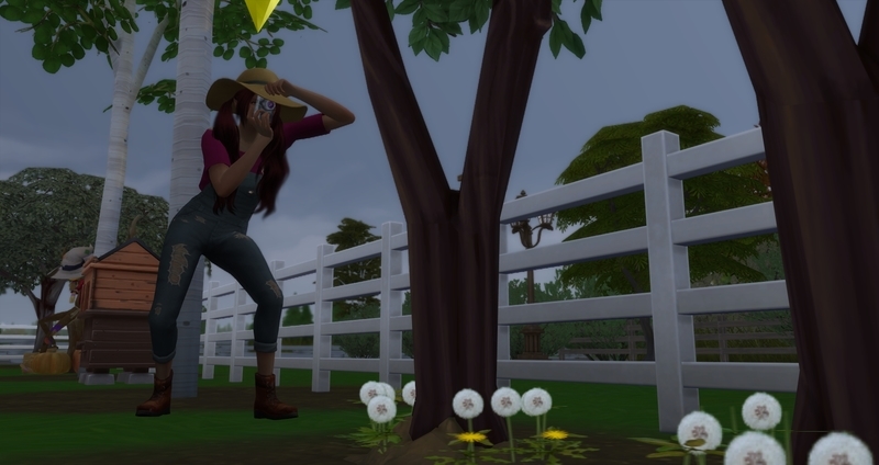 f:id:abcdmattya:20200220235144j:plain