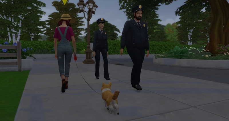 f:id:abcdmattya:20200220235201j:plain