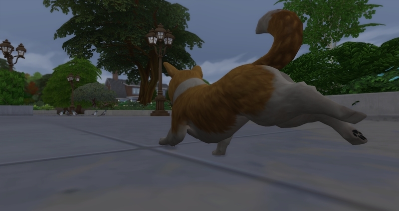 f:id:abcdmattya:20200220235206j:plain