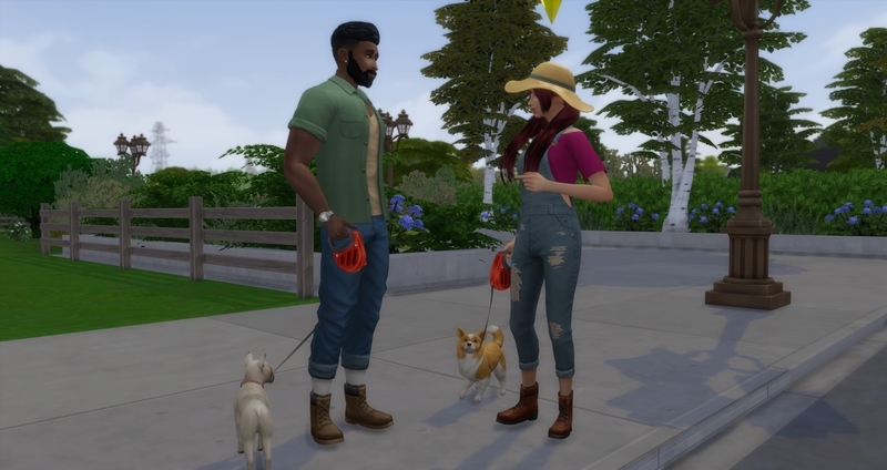 f:id:abcdmattya:20200220235221j:plain