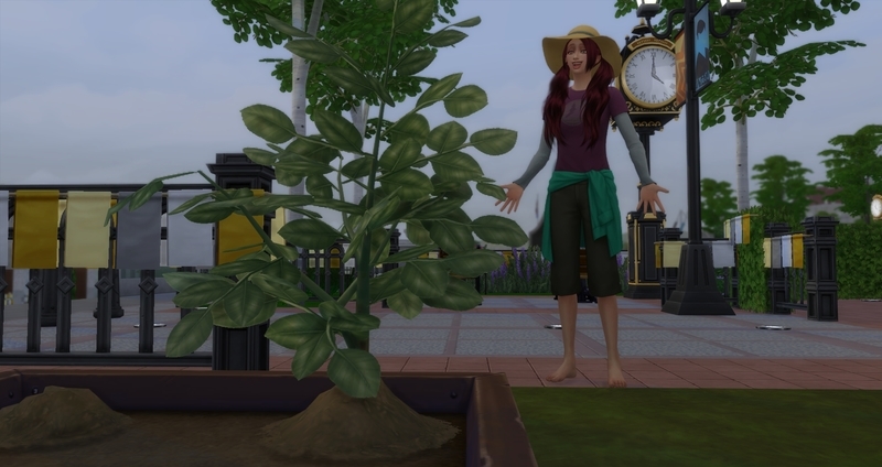 f:id:abcdmattya:20200220235248j:plain