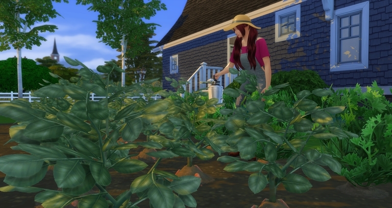 f:id:abcdmattya:20200220235308j:plain