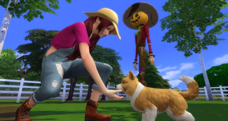 f:id:abcdmattya:20200220235322j:plain