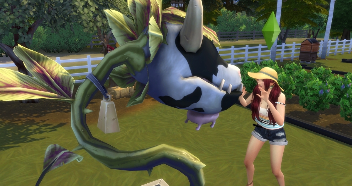 f:id:abcdmattya:20200322155406j:plain f:id:abcdmattya:20200322155406j:plain