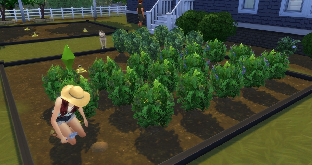 f:id:abcdmattya:20200322155629j:plain f:id:abcdmattya:20200322155629j:plain