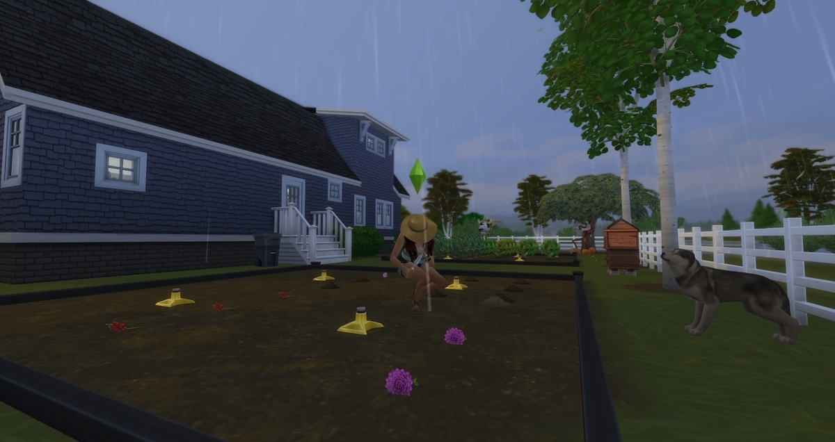 f:id:abcdmattya:20200322155904j:plain f:id:abcdmattya:20200322155904j:plain