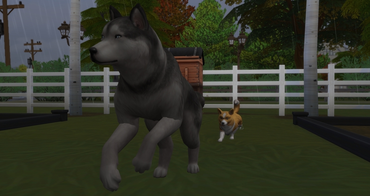 f:id:abcdmattya:20200322160034j:plain f:id:abcdmattya:20200322160034j:plain