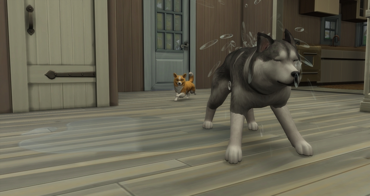 f:id:abcdmattya:20200322160346j:plain f:id:abcdmattya:20200322160346j:plain