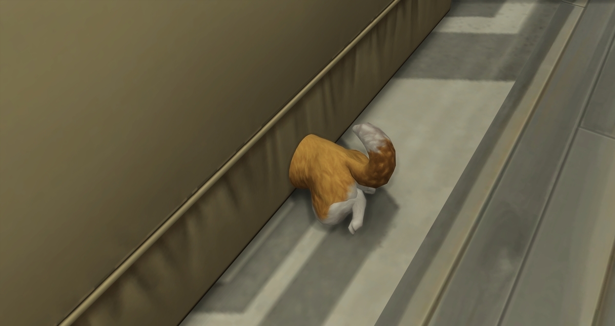 f:id:abcdmattya:20200322160517j:plain f:id:abcdmattya:20200322160517j:plain