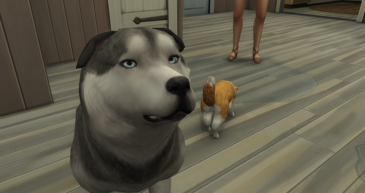 f:id:abcdmattya:20200322160814j:plain f:id:abcdmattya:20200322160814j:plain