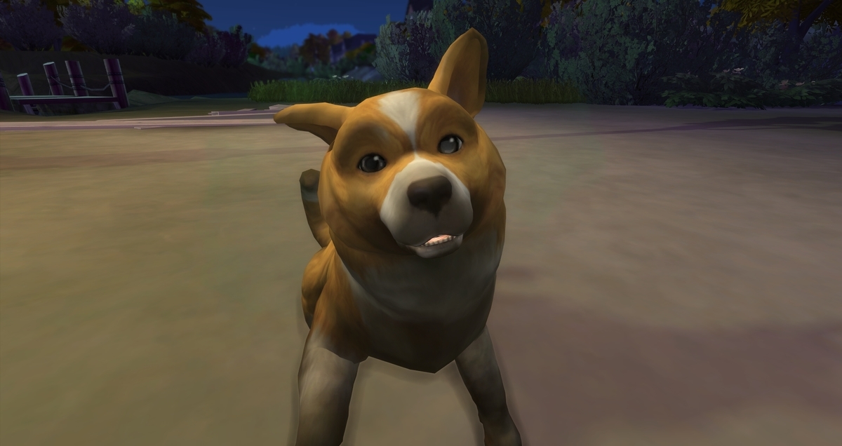 f:id:abcdmattya:20200327010643j:plain