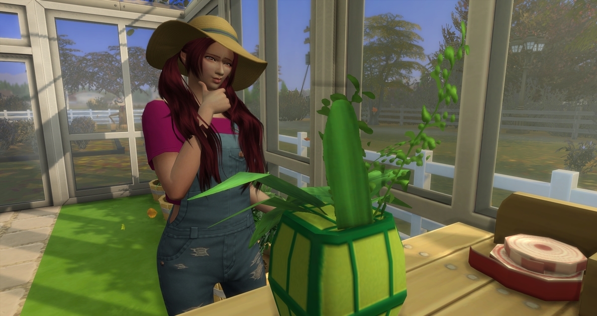 f:id:abcdmattya:20200405144024j:plain