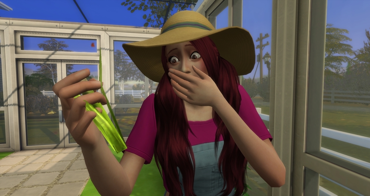 f:id:abcdmattya:20200405144222j:plain