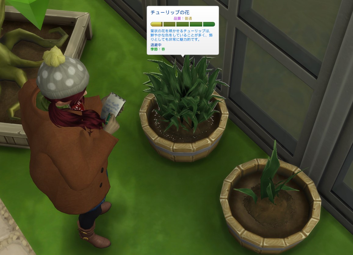 f:id:abcdmattya:20200405145748j:plain