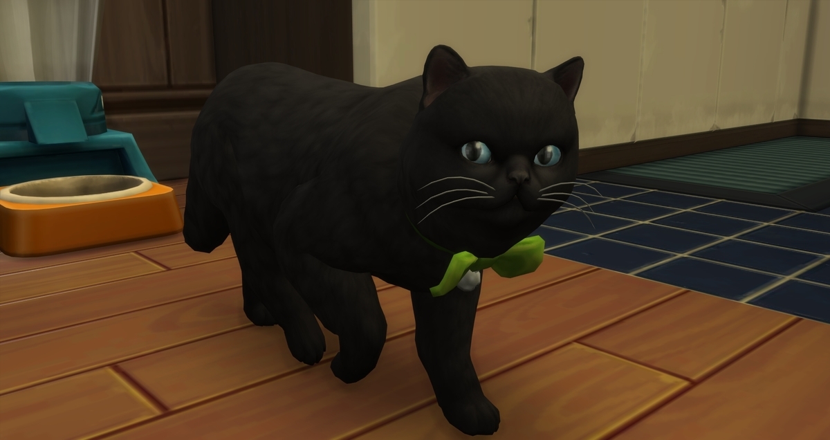 f:id:abcdmattya:20200408110414j:plain