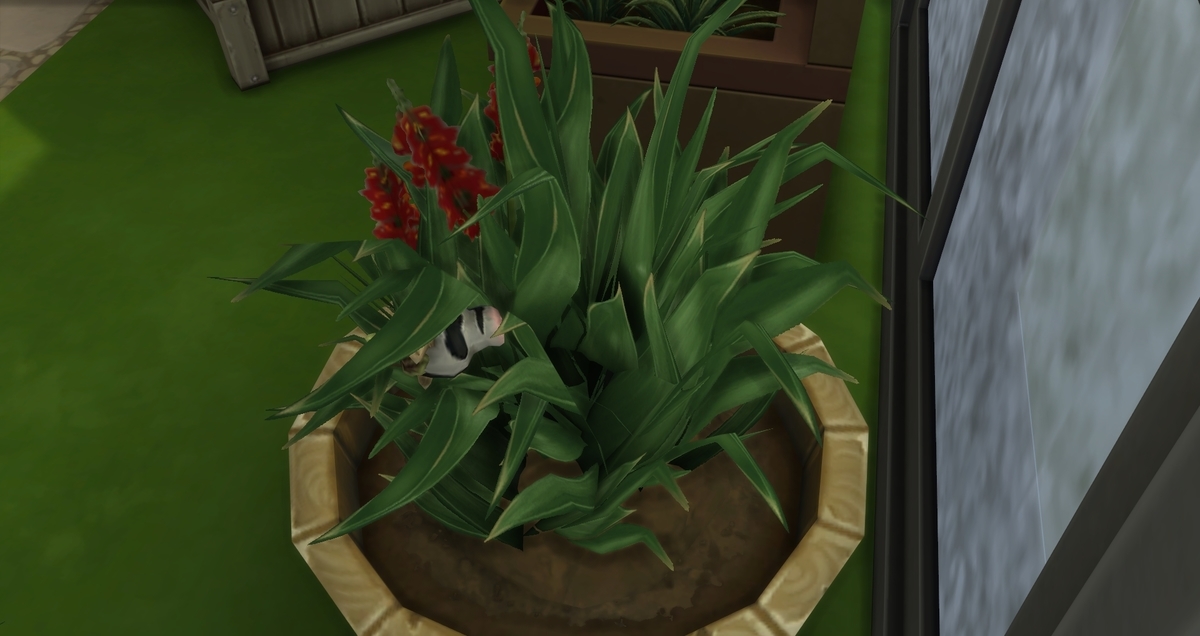 f:id:abcdmattya:20200413204416j:plain f:id:abcdmattya:20200413204416j:plain