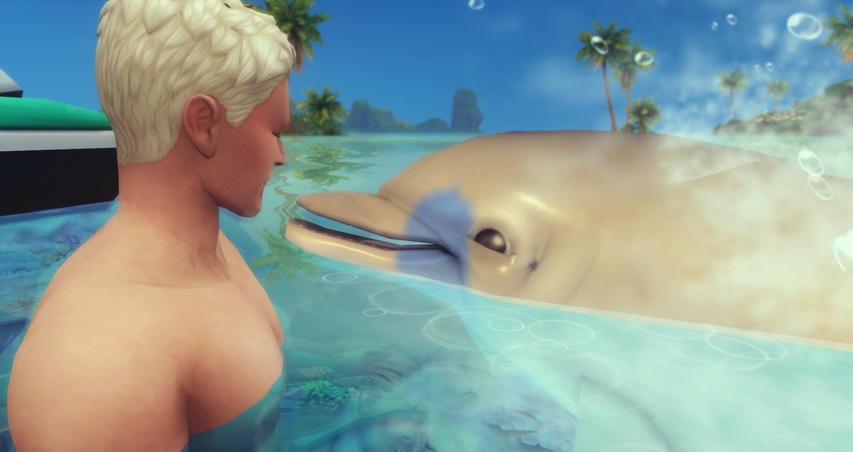 f:id:abcdmattya:20200930214351j:plain f:id:abcdmattya:20200930214351j:plain