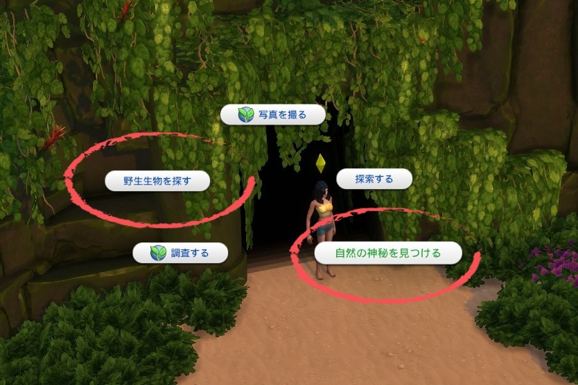 f:id:abcdmattya:20200930215246j:plain f:id:abcdmattya:20200930215246j:plain