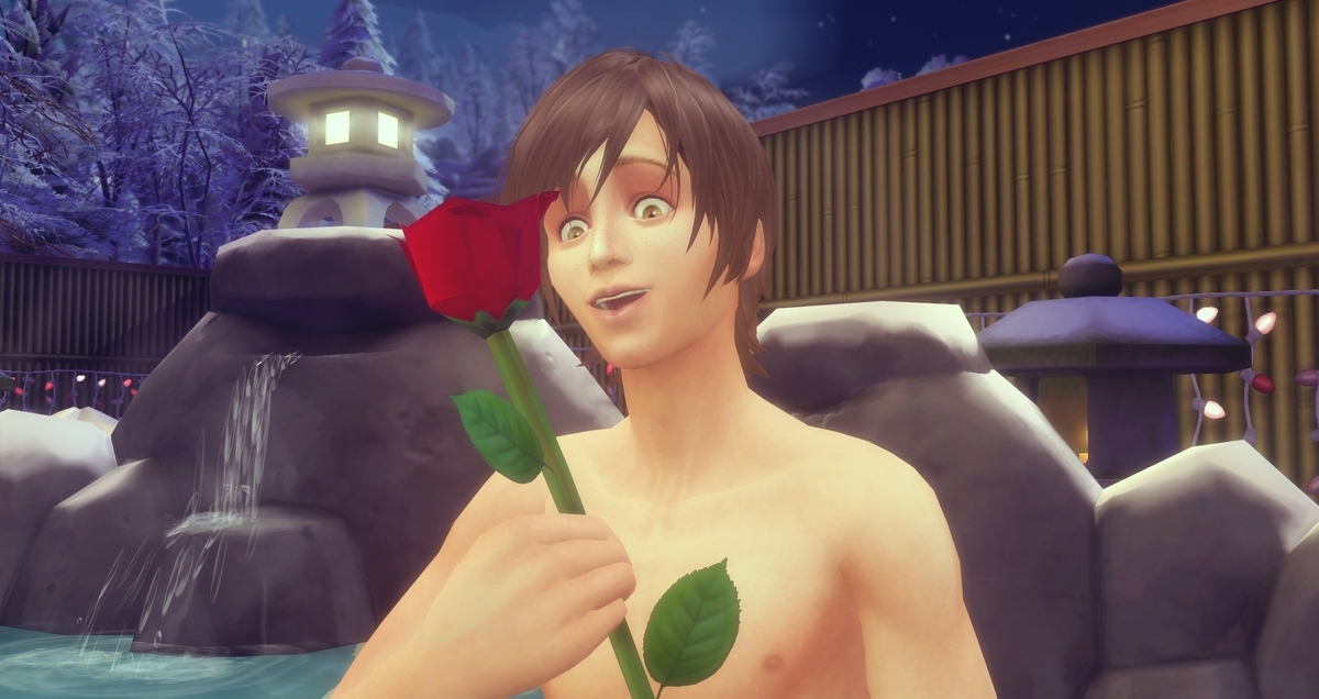 f:id:abcdmattya:20201126231238j:plain