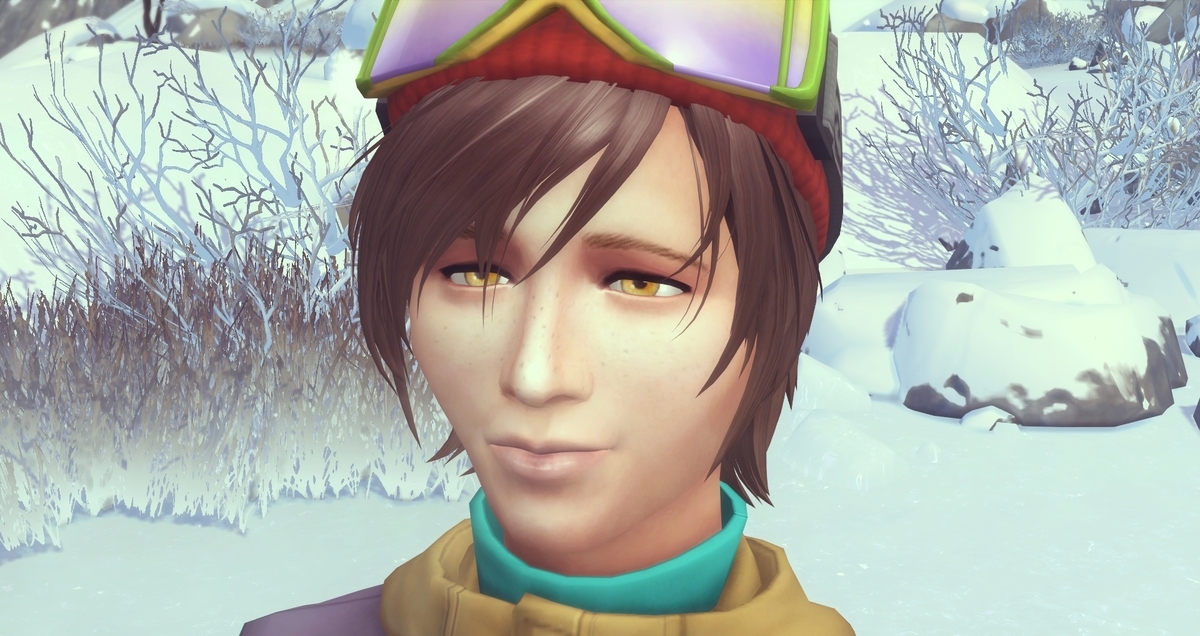 f:id:abcdmattya:20201201212731j:plain