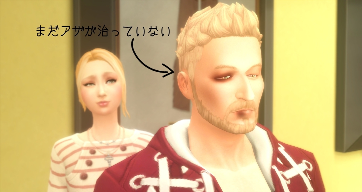 f:id:abcdmattya:20210103230909j:plain