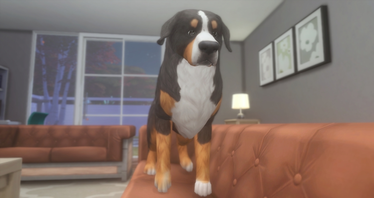 f:id:abcdmattya:20210116161716j:plain