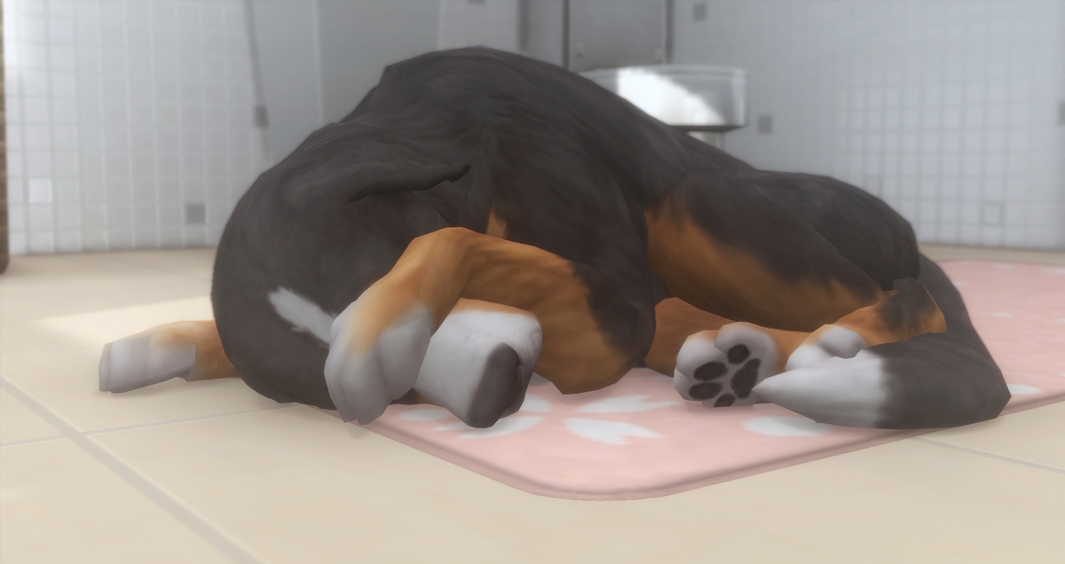 f:id:abcdmattya:20210131223058j:plain