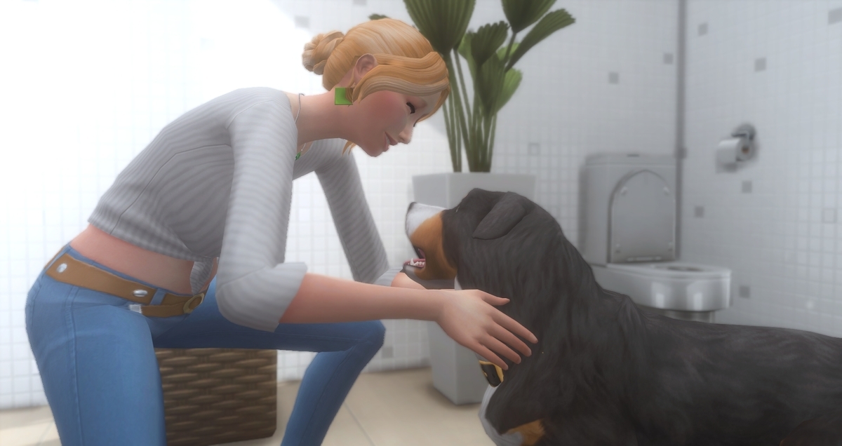 f:id:abcdmattya:20210131223135j:plain