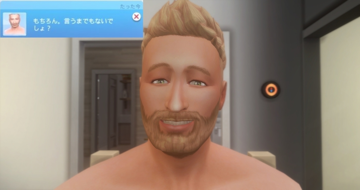 f:id:abcdmattya:20210131223843j:plain