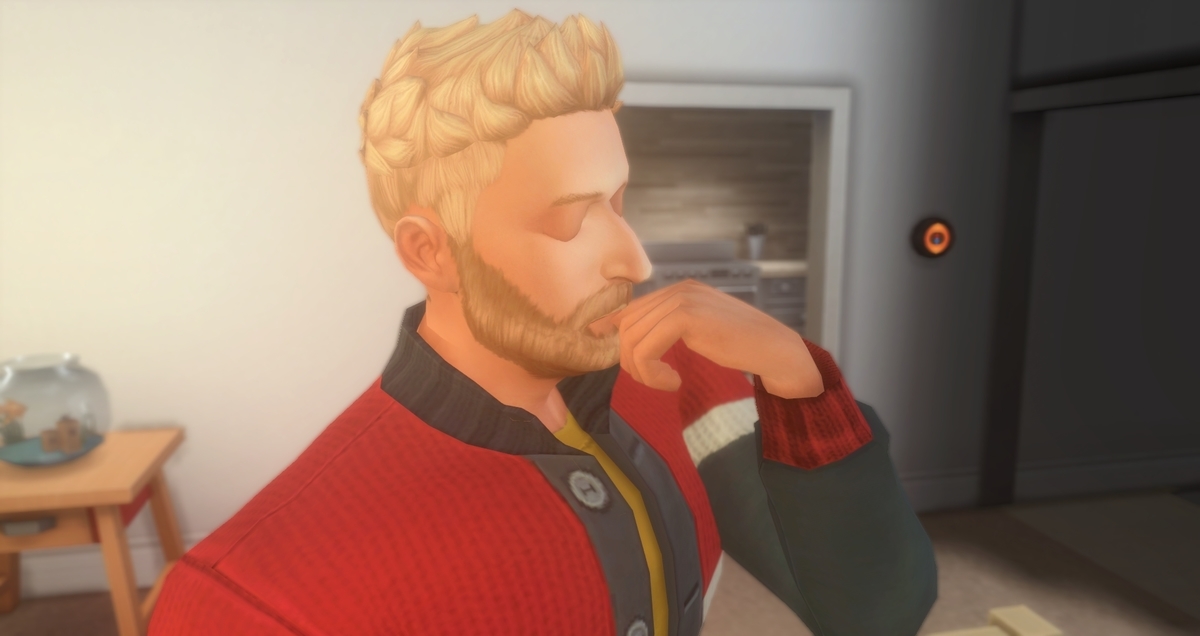 f:id:abcdmattya:20210131224934j:plain