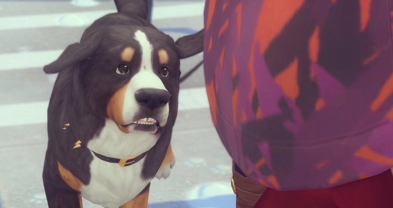 f:id:abcdmattya:20210211150353j:plain