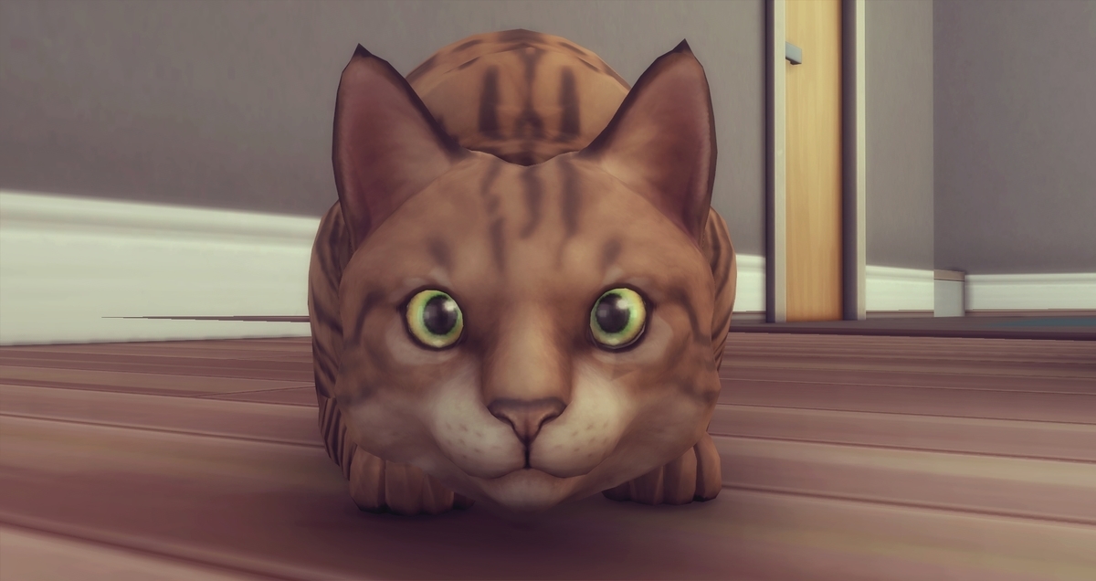 f:id:abcdmattya:20210327194052j:plain