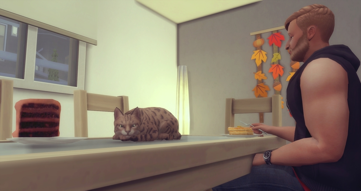 f:id:abcdmattya:20210327194138j:plain