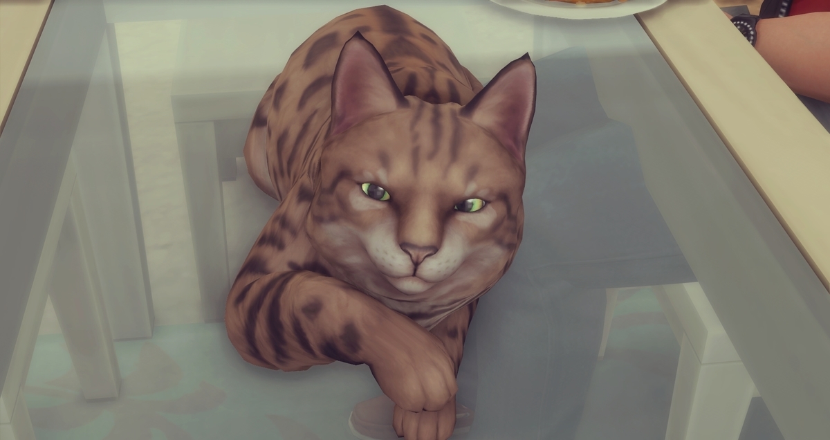 f:id:abcdmattya:20210327194232j:plain