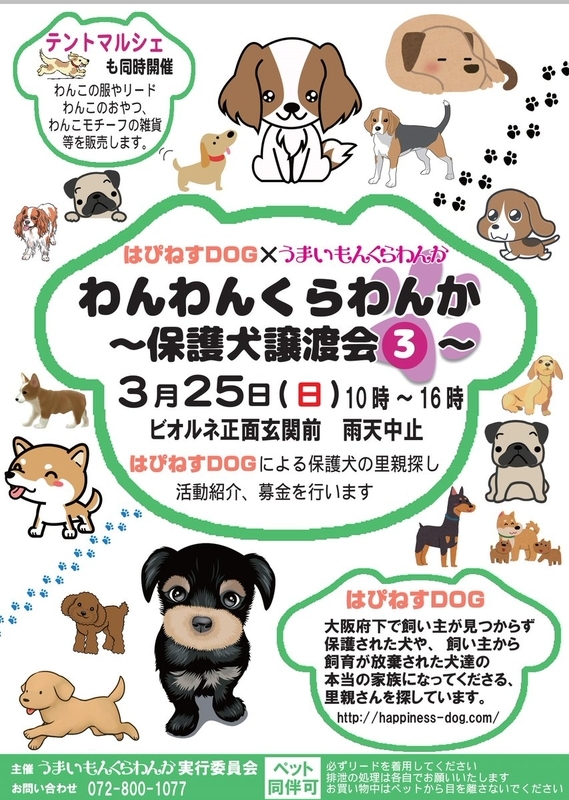 イメージ 5