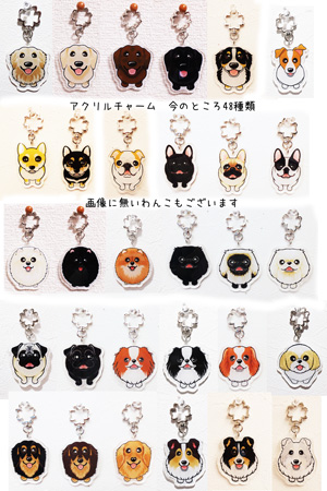 f:id:abcdogs:20190913214008j:plain