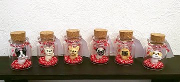 f:id:abcdogs:20191108225725j:plain f:id:abcdogs:20191108225725j:plain