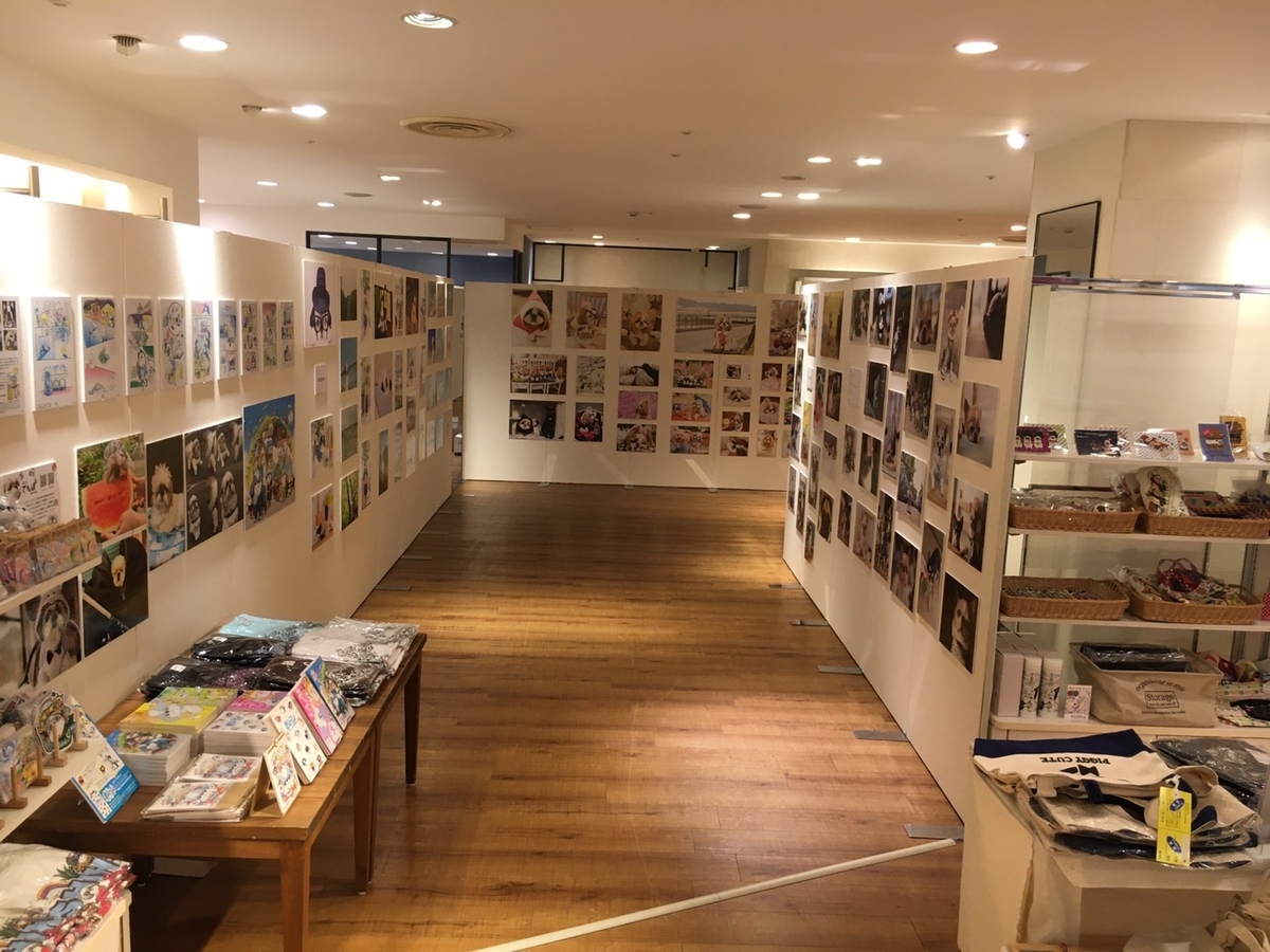 f:id:abcdogs:20200921204603j:plain f:id:abcdogs:20200921204603j:plain