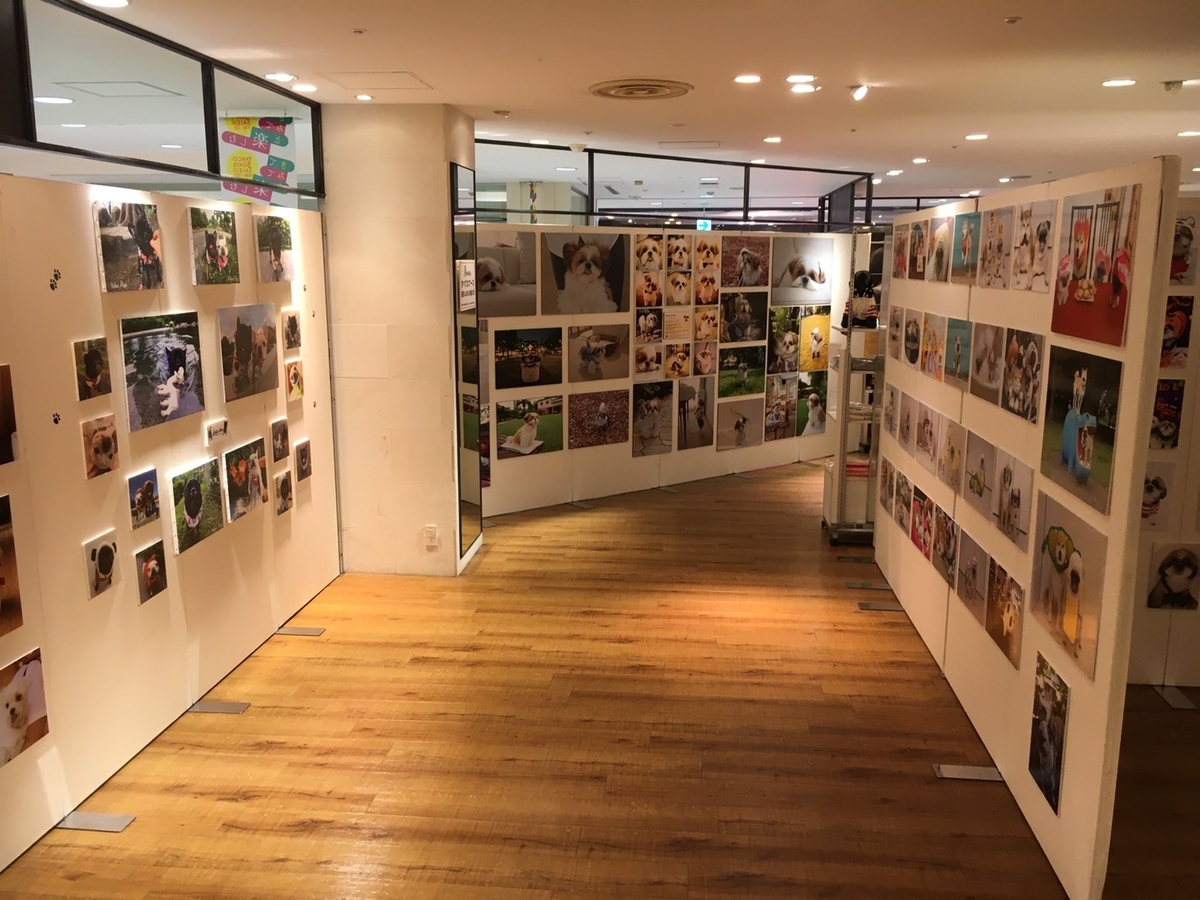 f:id:abcdogs:20200921204627j:plain f:id:abcdogs:20200921204627j:plain