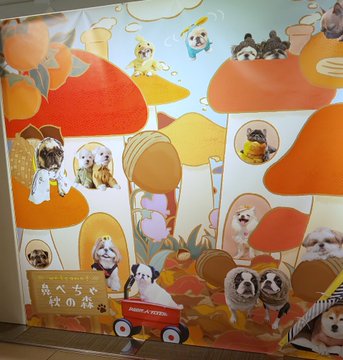 f:id:abcdogs:20201107191854j:plain f:id:abcdogs:20201107191854j:plain
