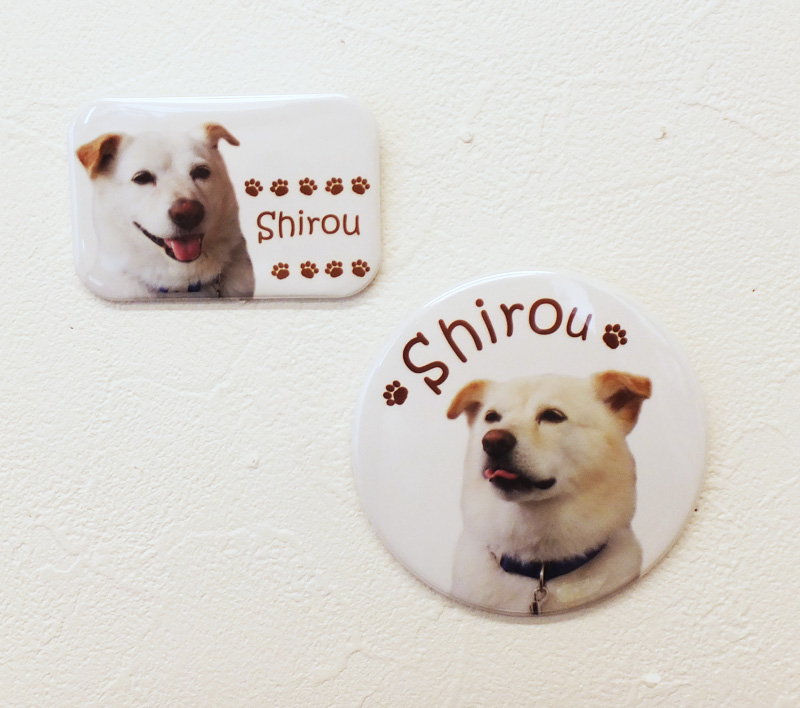 f:id:abcdogs:20201128142048j:plain
