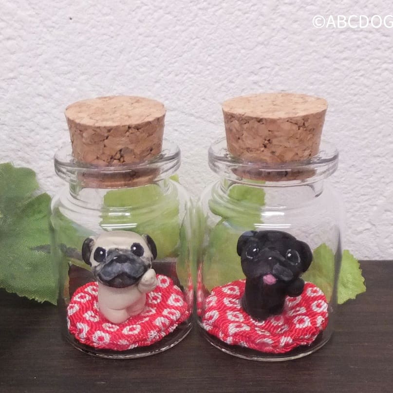 f:id:abcdogs:20201205112738j:plain