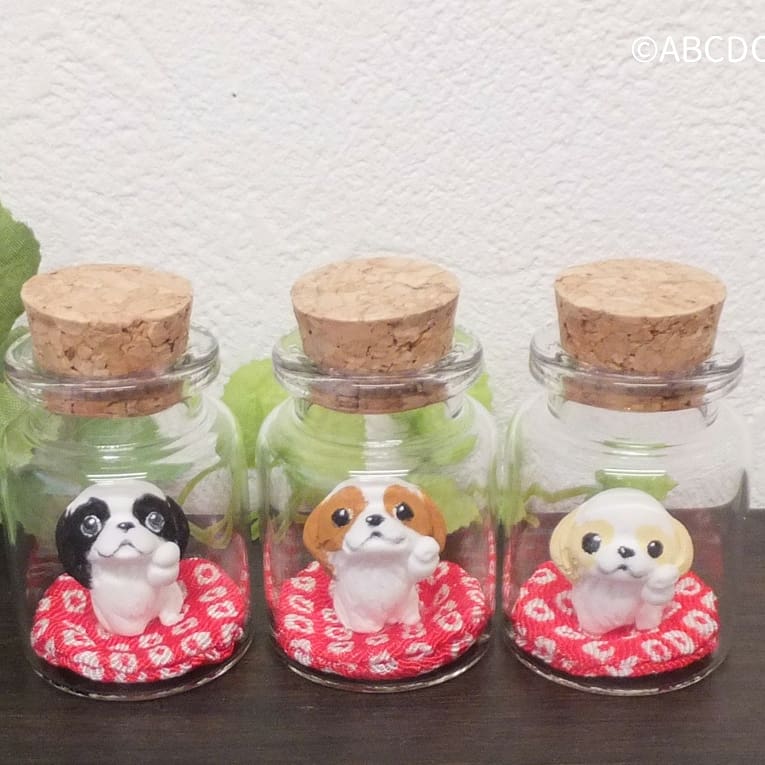f:id:abcdogs:20201205112749j:plain