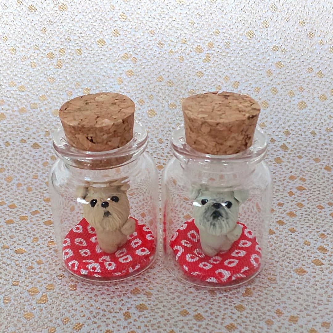 f:id:abcdogs:20210109113612j:plain
