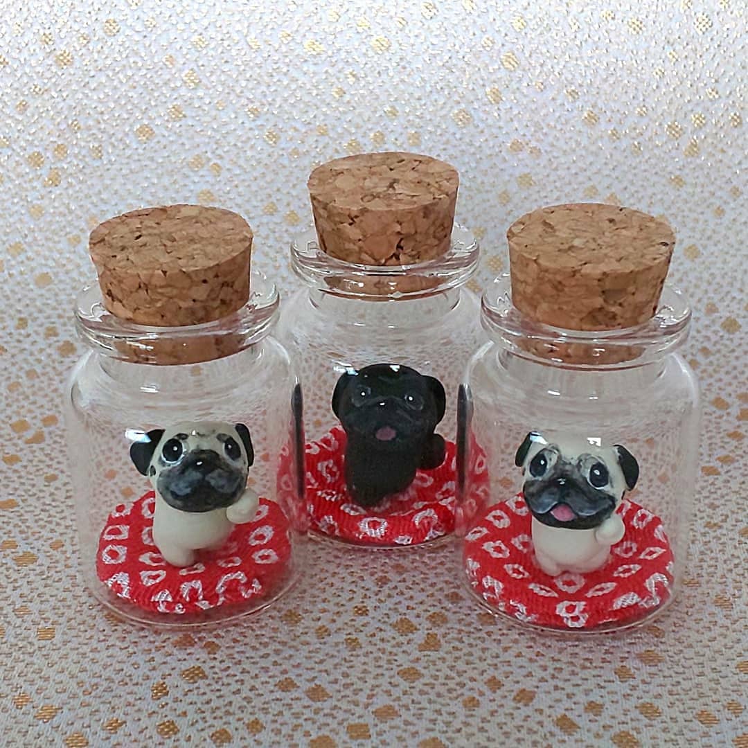 f:id:abcdogs:20210109113913j:plain