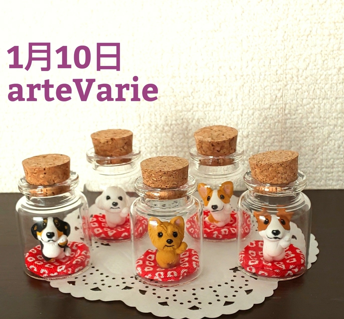 f:id:abcdogs:20210109143058j:plain