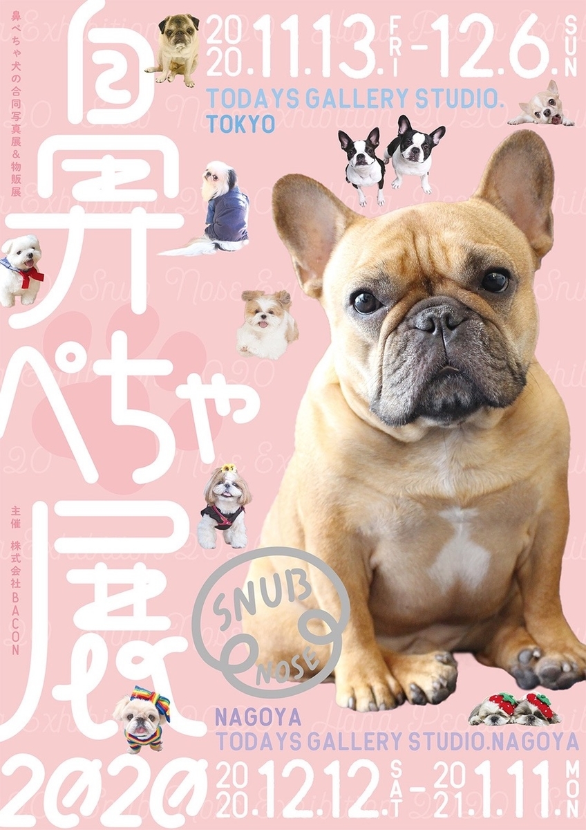 f:id:abcdogs:20210112180047j:plain
