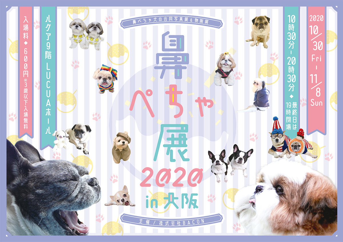 f:id:abcdogs:20210112180119j:plain