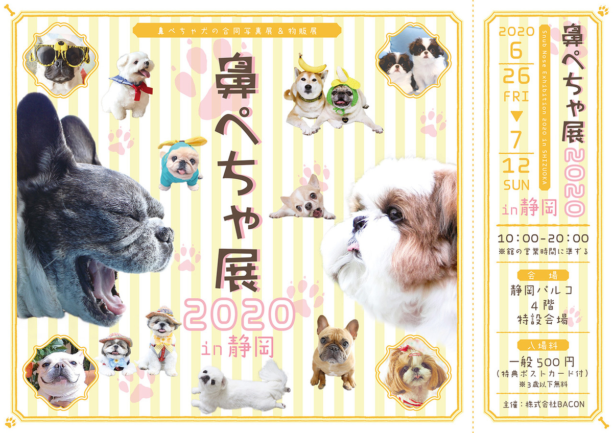 f:id:abcdogs:20210112180147j:plain