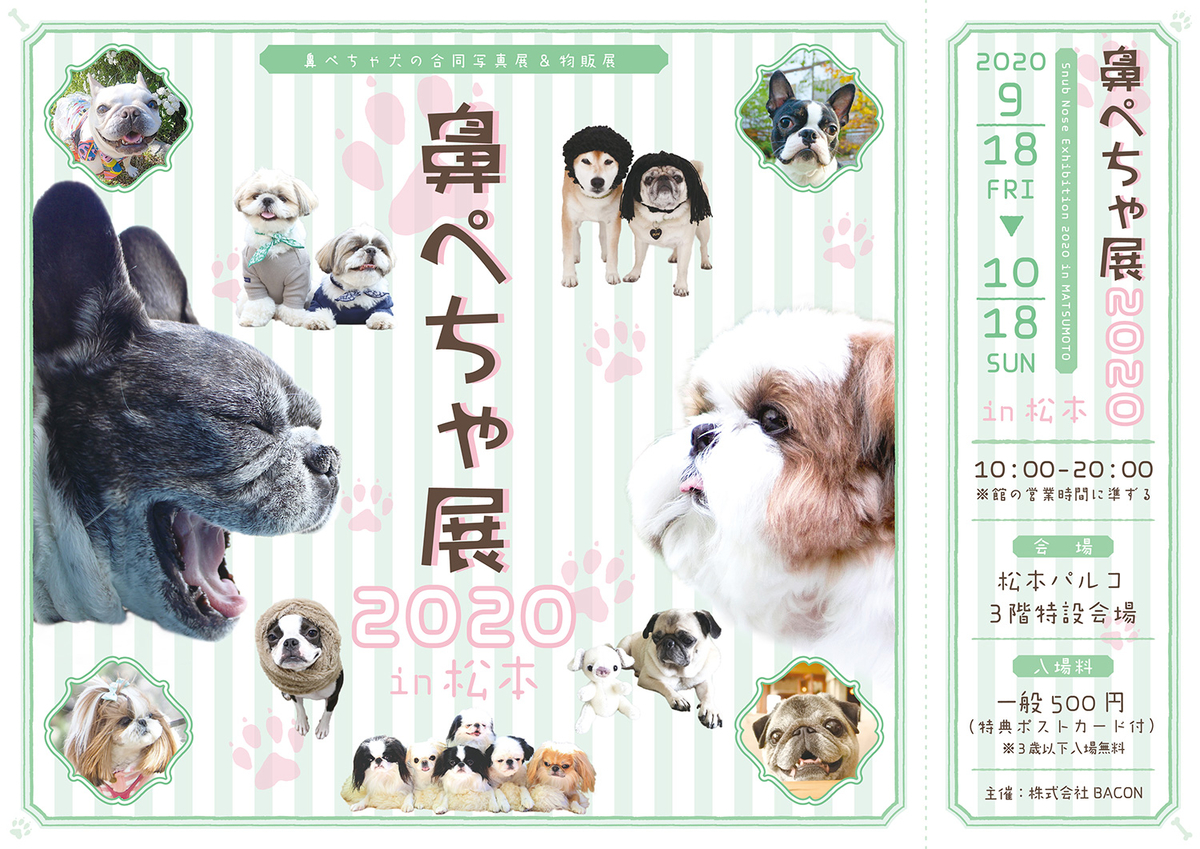 f:id:abcdogs:20210112180223j:plain